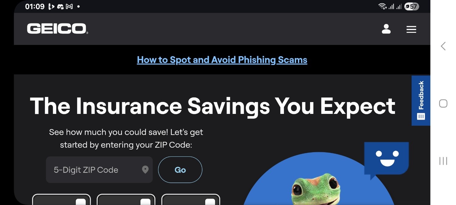 GEICO Insurance company